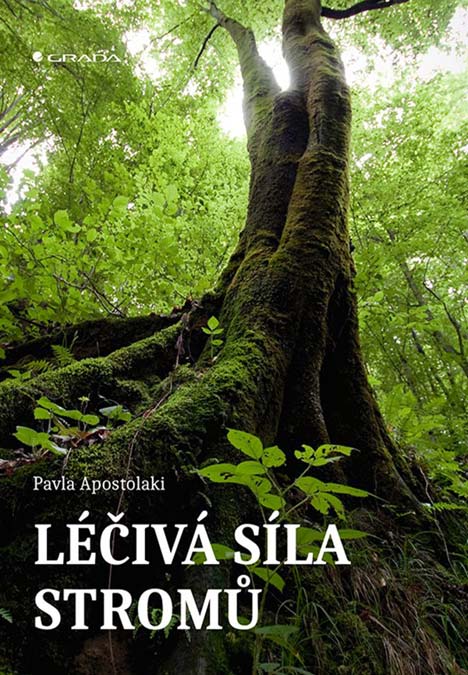 Léčivá síla stromů