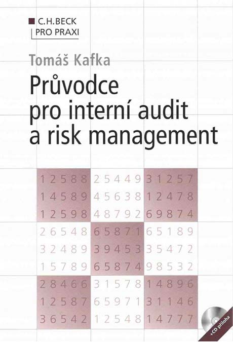 Průvodce pro interní audit a risk management