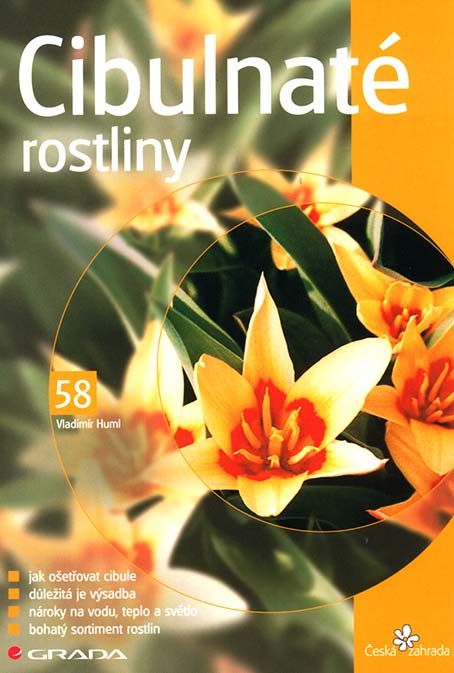 •Cibulnaté rostliny•