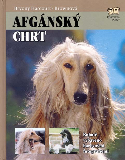•Afghánský chrt•