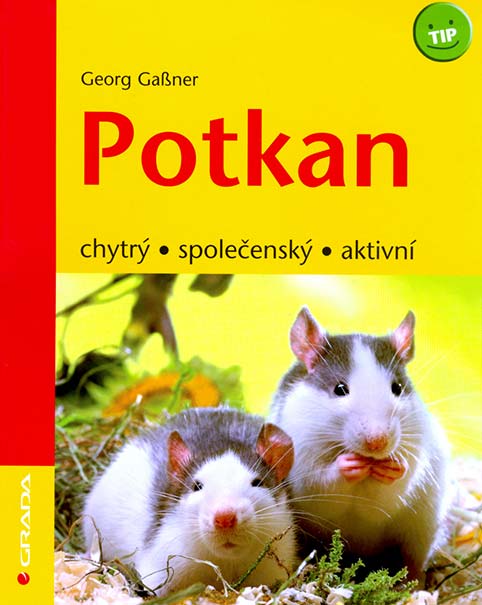 •Potkan•