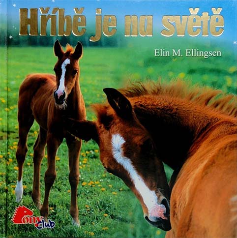 •Hříbě je na světě•