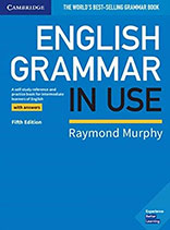 English Grammar in Use