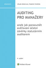 Auditing pro manažery