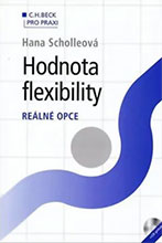 Hodnota flexibility